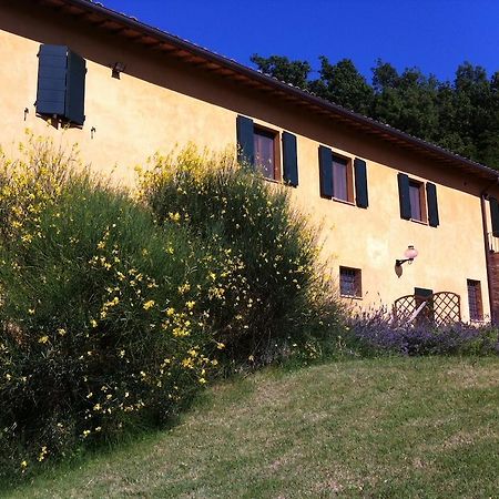 B&B Cal Torello Urbino Eksteriør bilde